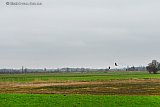 05-01-2021 Breda - De polder net boven de stad precies 10 jaar nadat hier een grote zwarte lange rookwolk hing bij het uitbreken van de enorme chemiebrand bij Chemie Pack in Moerdijk. 10 jaar geleden ontsnapte de stad eraan omdat de wind draaide waardoor de wolk Breda niet bereikte maar richting Strijen trok. - Fotokrant